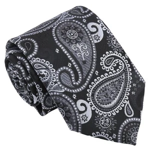 Black & Silver Mens Tie Paisley Bohemian Modern Style Classic Wedding Tie by DQT - Picture 1 of 3