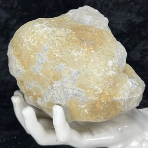 Ungeöffnete Geode 5-1/2" ungeschliffener Kristall Quarz Chalzedon 3,5 Pfund massiv natürlich groß - Bild 1 von 9