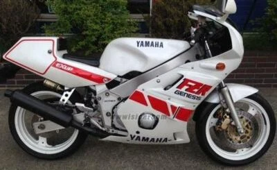 VÁLVULA DE ADMISIÓN YAMAHA FZR400R 2TK 3EN2 FZR400 3EN1 1WG 1WG-12111-00 válvula de entrada Foto 1 de 4