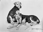 Airedale Terrier Puppies 11x17” Ltd Ed Print By Van Loan