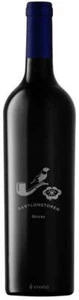 Babylonstoren Shiraz 2020 (750ml) - Picture 1 of 1
