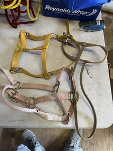 horse halters nylon Misc 3 - Picture 1 of 4
