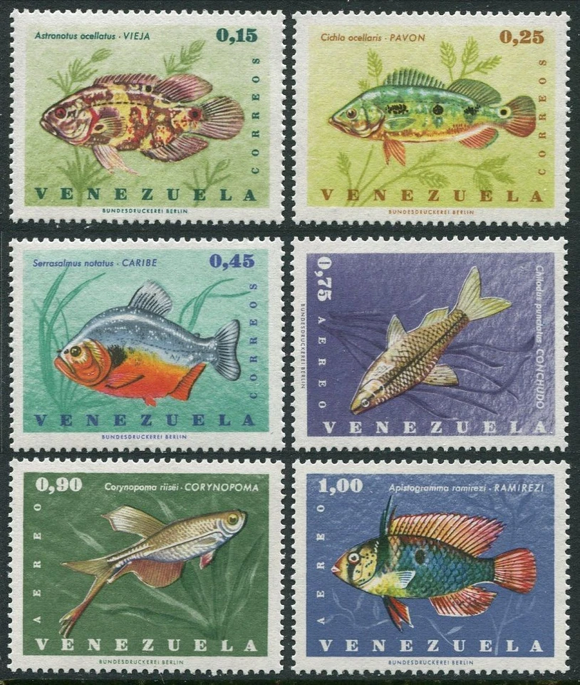 Venezuela 908-910, C933-C935, MNH. Michel 1676-1681. Fish 1966. - Image 1 of 1