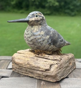 Amerikanische Holzschnepfe geschnitzt auf Treibholz Skulptur handbemalt Volkskunst 5 Zoll - Bild 1 von 11