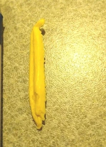 1975 Auth/Orig Marx Johnny West JWA Geronimo Short Yellow Ermine Tail Nice Cond - Picture 1 of 2