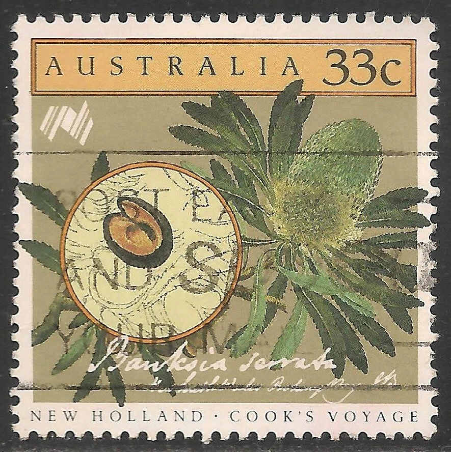 Australia #977 (A363) VF USED - 1986 33c Banksia Serrata - Image 1 of 1