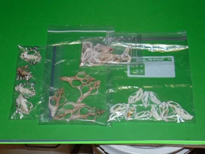 Center Cut Sliced Strombus Seashell Assortment Lot of 4 Packs NOS - Picture 1 of 11