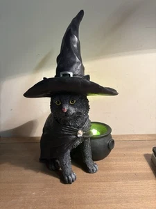 Schwarze Katze mit Hexenhut & Umhang LED Leuchtkessel groß 15" Halloween. **** - Bild 1 von 7