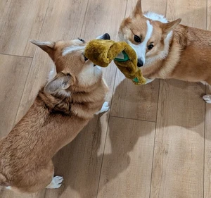 Zippy Paws IPA Dog Toys New, Light Brown - Picture 1 of 12