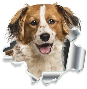 Adhesivo agujero de bala, motivo "Mischling" - Imagen 1 de 1