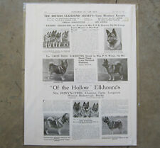 Vintage The British Norwegian Elkhound Society sup to "Our Dogs" ~ Dec 1937