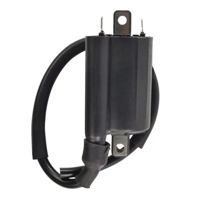 Ignition Coil For Honda CRF 250 450 R VFR 700 750 800 VTR 250 1986-2013 - Image 1 of 4