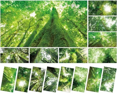 8 Piezas Fundas de Luz Fluorescente con 80 Imanes Decorativos para Techo de Aula... Foto 1 de 4