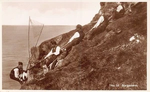 FAROE ISLANDS Føroyar - Bjargamenn - Catching birds - Publ. H. N. Jacobsen 16 - Picture 1 of 2