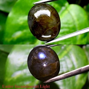 23.32ct 18.5x15.5mm Oval Cab Natural Rainbow With Luster Labradorite Gemstone - Picture 1 of 6