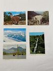 Lot of 5 Vintage Postcards ALASKA Joe Wild Animal Glacier Fall Unposted #2