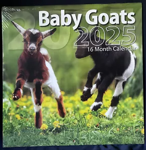 2025 Baby Goats 16 Month Wall Calendar -  New Sealed 12"x12" FREE SHIPPING - Picture 1 of 2