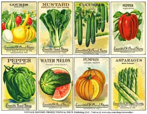 Paquete de Semillas de Jardinería REPRODUCCIONES, Decoración Artística Jardín de Vegetales, 1 Hoja de Pegatinas - Imagen 1 de 1