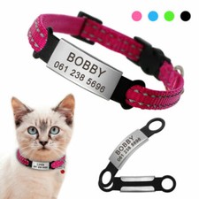 ebay kitten collars