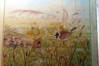 Bird  Placemat   mat 7X8" by M. Spencer Birds - vintage - Image 1 of 4