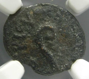 Poncio Pilato Procurador de Judea (26-36 dC) æ Prutah Jerusalén, Certificado NGC - Imagen 1 de 6