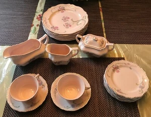 Steubenville "Rose Dawn" Pink w/Yellow Flowers, Platinum Trim 21 pieces - Picture 1 of 8