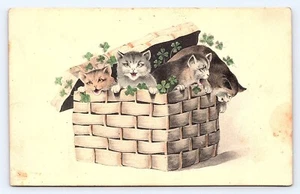 c1907 Kitten Art Postcard Cats in Four Leaf Clover Basket Meowing Antique C26 - Picture 1 of 3