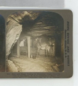 Hauling Coal to Shaft M&C Bituminous Mines Decatur IL International Stereoview - Picture 1 of 2