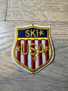 Vintage Ski USA Skiing Red White Blue Stripes Souvenir Embroidered Patch badge - Picture 1 of 2