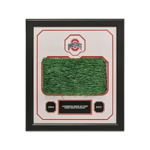 Collage enmarcado de césped y logotipo del estado de Ohio con pieza de césped auténtico del estadio de Ohio - Imagen 1 de 4