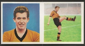 CHIX-FOOTBALL PORTRAIT & ACTION (01-24) 1960-#17- WOLVES - BROADBENT - Foto 1 di 2