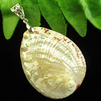 Бусина-подвеска из натуральной белой раковины 58x45x13 мм H84267 - Изображение 1 из 2