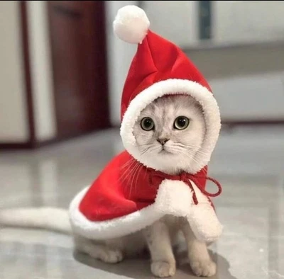 Disfraz de Navidad Conjunto Mascota Chaleco Perro o Gato Nuevo Mediano Foto 1 de 4