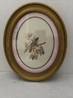 Vintage 80's Homco Bird Print Oval  in Gold Syrocco Frame 11"x9 Glass