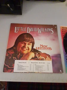 Little David Wilkins - New Horizons (LP, 1977) Promo, VG/EX, Country, Tested - Picture 1 of 5