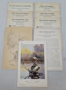 National Audubon Society Birds ~ Lote aleatorio surtido de folletos de aves - Imagen 1 de 9