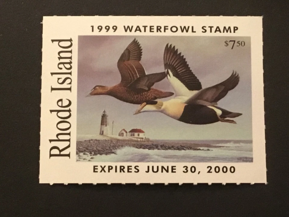 ICOLLECTZONE US Rhode Island 1999 #11 Duck Stamp VF NH - Image 1 of 1