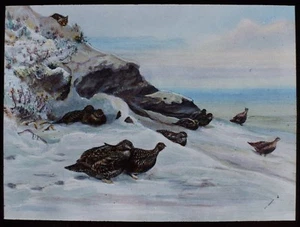 Linterna Mágica de Vidrio Diapositiva GROUSE - CENA DE NAVIDAD REYNARDS C1890 DIBUJO COLOR - Imagen 1 de 2