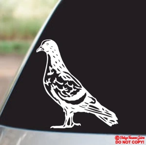 PIGEON ROCK-DOVE DOMESTIC BIRD Vinyl Decal Sticker Car Truck Window Wall Bumper - Picture 1 of 2