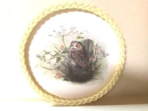 Vintage Owl Scene on Plastic Wicker Edged Plate Platter - Picture 1 of 6