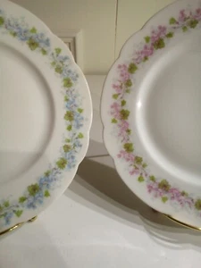 Antique L. Bernardaud & Co. (D&C France) Limoges China (Set of 2/10" Plates) - Picture 1 of 12