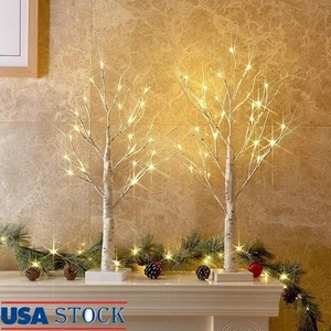 Ramas de abedul iluminadas 24 luces blancas cálidas temporizador a batería decoración EE. UU. - Imagen 1 de 28