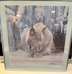 Robert Bateman "Dettaglio da Dozing Lynx" firmato a mano con cornice arte della fauna selvatica 18" X 1 - Foto 1 di 5