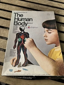 Vtg 1970 Colorforms “An Introduction To The Human Body-Male” #1149 Complete - Picture 1 of 6