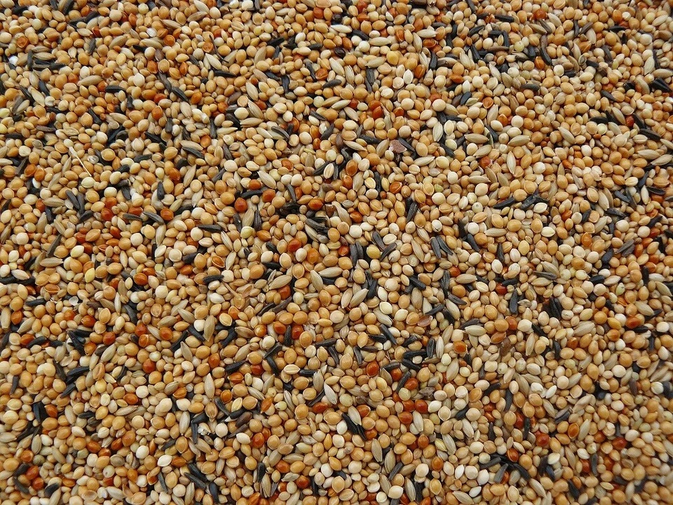 Exotenfutter 25 Kg Exoten Top Vogelfutter Prachtfinken unzertrennliche Agapornis