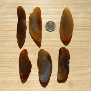 6 Achat Geode Gesteinsscheiben poliert braun und grau gebändert Kristalle Endschliff Steine - Bild 1 von 5