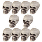  10 Pcs Skull Crafts Adornment Mini Skulls Skeleton Figure Haunted House Props
