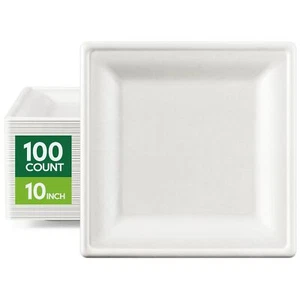 100% Compostable Plates 10 Inch Paper Plates 100 Pack Heavy Duty Disposable Plat - Picture 1 of 7
