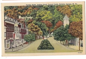 FAIRFAX STREET Castle State Park Berkeley Springs West Virginia Postcard Linen - Picture 1 of 2
