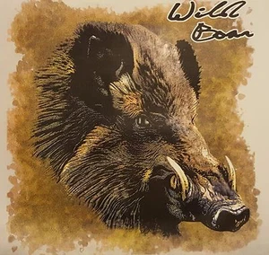 ALL AMERICAN OUTFITTERS BOAR HUNTER WILD HOG HUNTING #532 POCKET SHIRT - Picture 1 of 5
